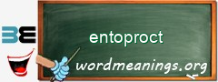 WordMeaning blackboard for entoproct